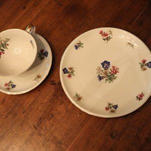 VINTAGe Hutschenreuther plate and cup/saucer - ALPINE FLOWERS design 7.5 in